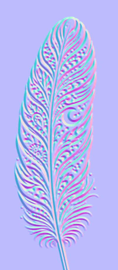 Ground-truth normal map of the feather